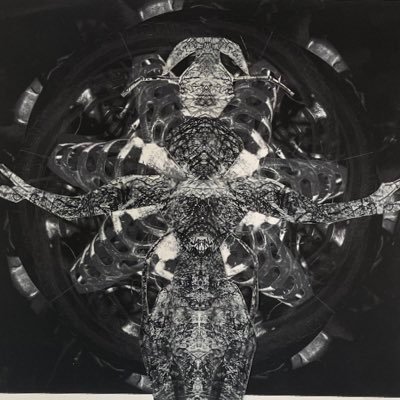 QueueCreation's profile picture. Attempted queer creator 🏳️‍⚧️🏴‍☠️