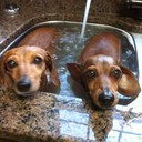 Debbie Kern - @Debkern - Twitter