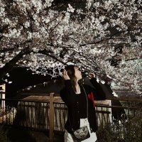 みなみ (@minami1754) Twitter profile photo