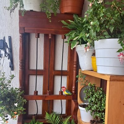 somos expertos en paisajismo y todo tipo de plantas para decorar tu hogar