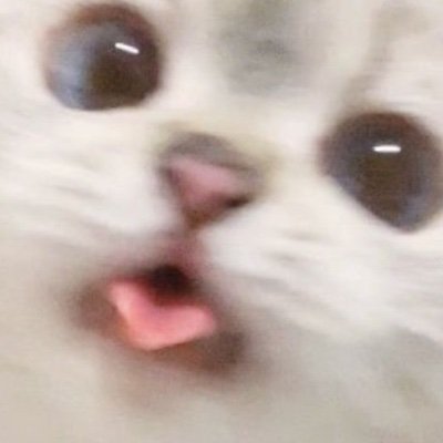 KevinVa52281357's profile picture. Hii!!