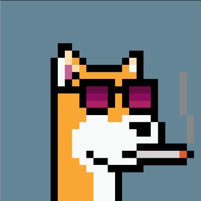 xlisttop1mmr's profile picture. DOGEPUNKS! LFGoon @plumenetwork WEN MINT?