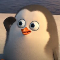 kimmy (@kimmybtw) 's Twitter Profile