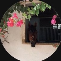 مها (@maha89_h) 's Twitter Profile