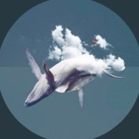 Maha (@mahay6666) 's Twitter Profile