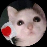 winco🦕 (@rasengay) 's Twitter Profile