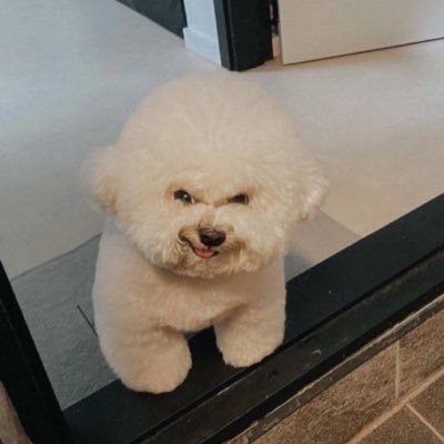 sagopro's profile picture. Living 2 share! 🦈