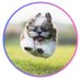 FUNNY VID (@360relaxer) Twitter profile photo FUNNY VID (@360relaxer) Twitter profile photo
