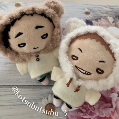 こつぶ@🌿🌸さんのプロフィール画像