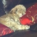 Dana Mather - @dbmather - Twitter