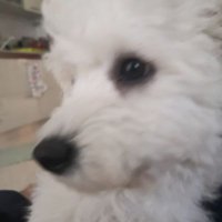 Enrico Danna (@enricodanna) 's Twitter Profile Photo Enrico Danna (@enricodanna) 's Twitter Profile Photo