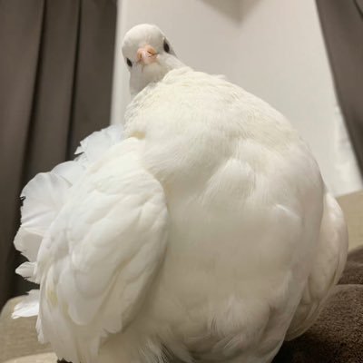 Sylvie020810's profile picture. 我在宇宙中流浪