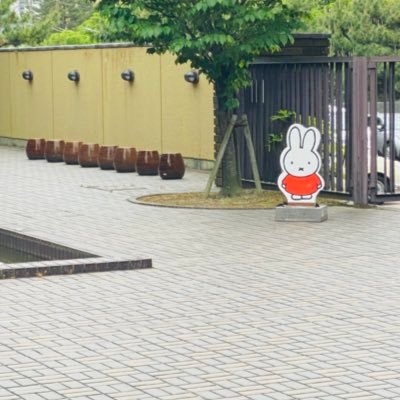 mfko_miffy's profile picture. miffy/GLAY