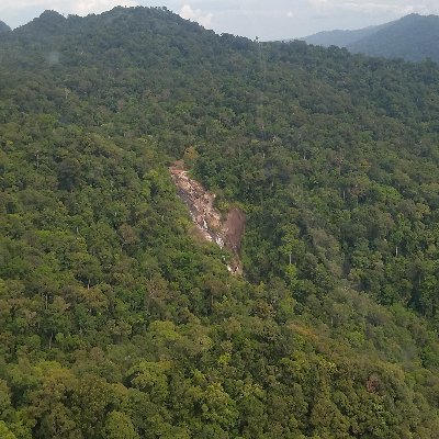 guna91410103's profile picture. 