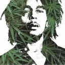 robin pace - @PaceRobin - Twitter