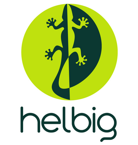 Damienhelbig's profile picture. Webmaster with wheels but d'rather be with wings ;-)