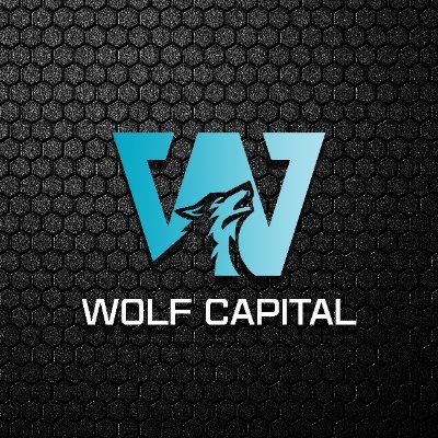 Welcome to Vietnam's top Incubator. A cross-border crypto venture fund.

News: @WolfCapitalnews