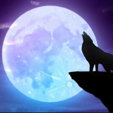 futtoman's profile picture. 