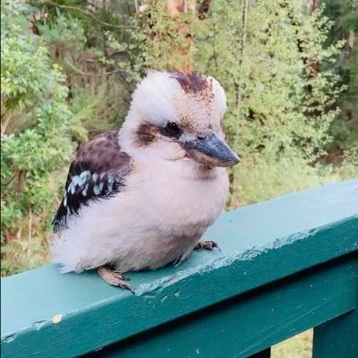 JosieAutho19922's profile picture. 