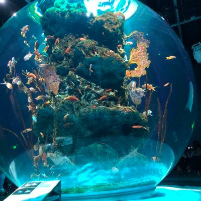 syouchansumida's profile picture. 医療系の大学 理学療法学科