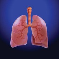COPD_iNET (@copd_inet) 's Twitter Profile