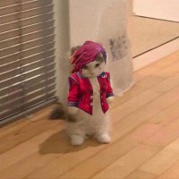 Josent (@josent56590235) 's Twitter Profile