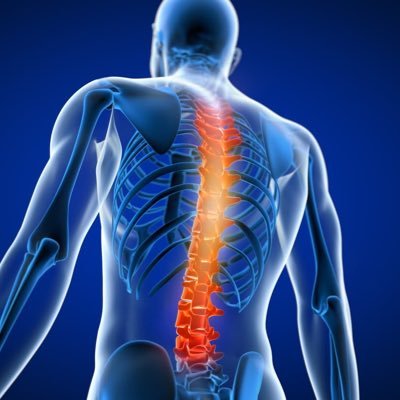 AdaaminBiri's profile picture. Omurgası Dik Kalabilenlerden