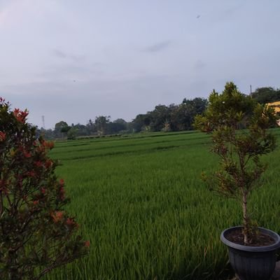 dagnaaf's profile picture. salah satu masyarakat berpenghasilan rendah yang kebetulan lulus S2