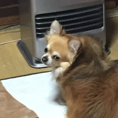 xi_bu49901's profile picture. 社会人24歳です！@ayumu243811よろしくお願いします！フォロバ、DM返します