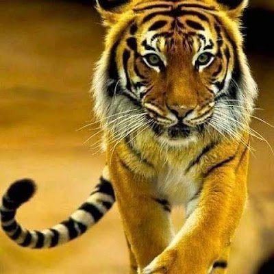 FrankyGarc9076's profile picture. 