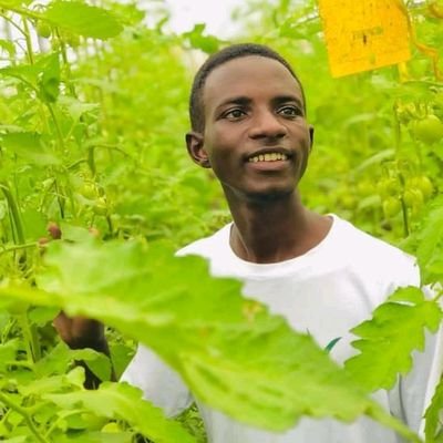 Founder of AGRIORGANIC FARM Ltd🌱🌱Agriculture is my career and I'm Crop (Horticulture) Scientist and Agrinfluencer
WhatsApp+250780085394