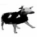 Cowien (@sn1pp7) Twitter profile photo Cowien (@sn1pp7) Twitter profile photo