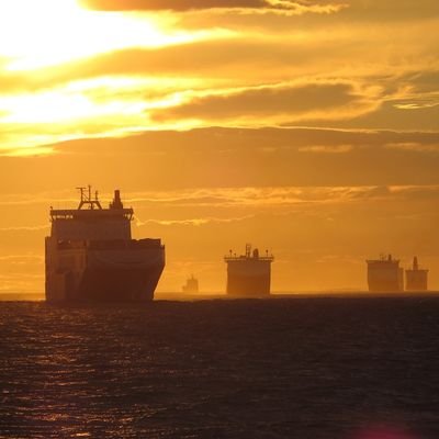 Craigfi56196203's profile picture. proud grimsby lad