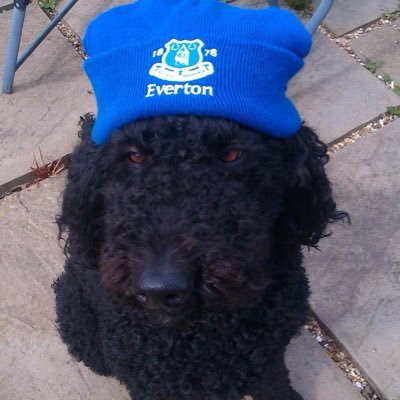 Evertonian in hope