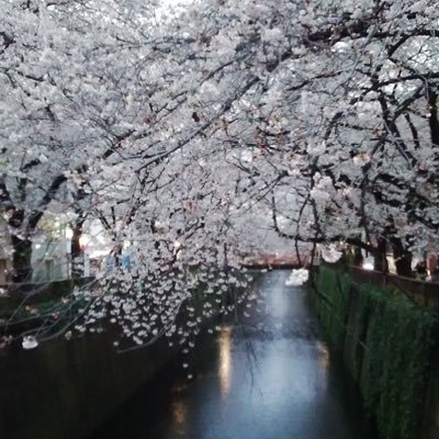 MAO(マオ)です。
主に風景写真やお花の写真を投稿がメインです。
Twitter始めたばかりですが、たくさんフォローして頂けるとありがたいです！
※怪しい垢・エロ垢はNG✖️