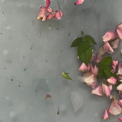 я обещаю себе дойти до конца своей мечты ❤️изобилия, любви, и счастья присоединяйся 👇🏻