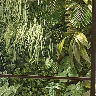 DdbSCvIOBK52964's profile picture. 