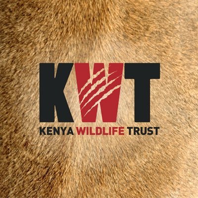 KenyaWildTrust Profile Picture