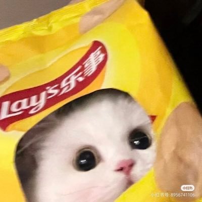 Nuo.さんのプロフィール画像
