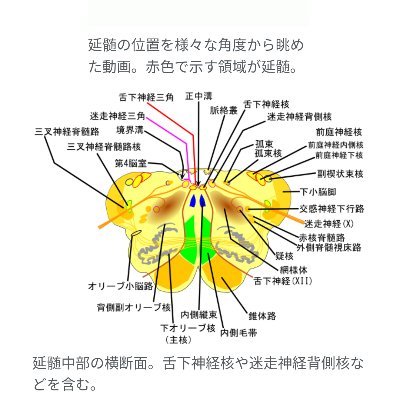 趣味用 北 b1→2 レスバ大好き国立医