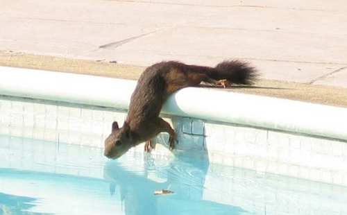 AnneKotai's profile picture. 