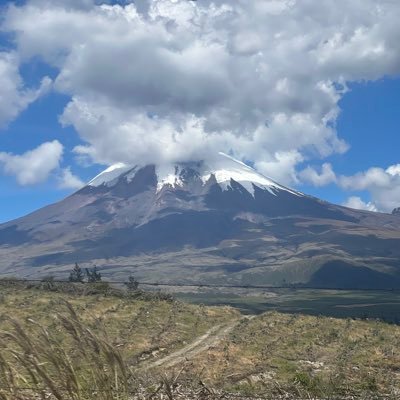 libroslibres11's profile picture. La vida es muy corta para pasarla aburrido