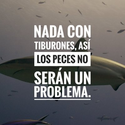fabioariasa1's profile picture. El dia mas difícil fue ayer
Anticomunista.