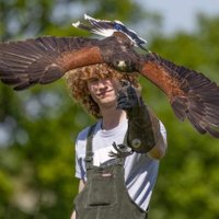 Joe Woods (@wacky_anteater) 's Twitter Profile Photo Joe Woods (@wacky_anteater) 's Twitter Profile Photo