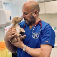 Marc Abraham OBE (@marcthevet) 's Twitter Profile