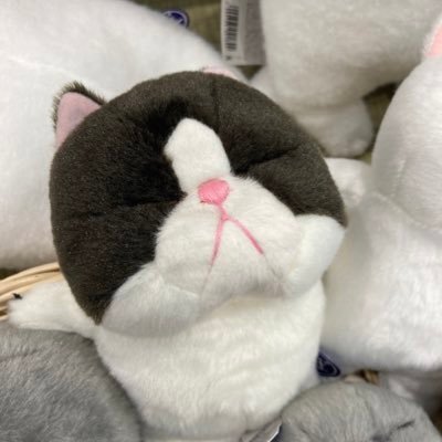 atu_peco's profile picture. 当たり前のことしてたら、当たり前の結果しかでないやん！ 挑戦じゃ