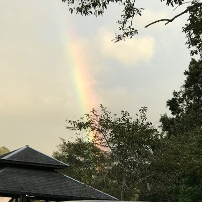 RhjuaHEN6qesQlW's profile picture. 