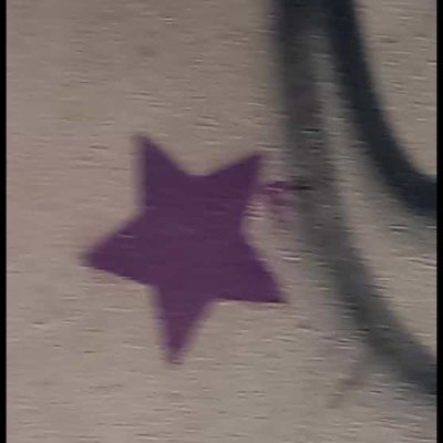 Ros11505571's profile picture. Nothing