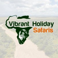 vibrant holiday safaris(@HolidayVibrant) 's Twitter Profile Photo