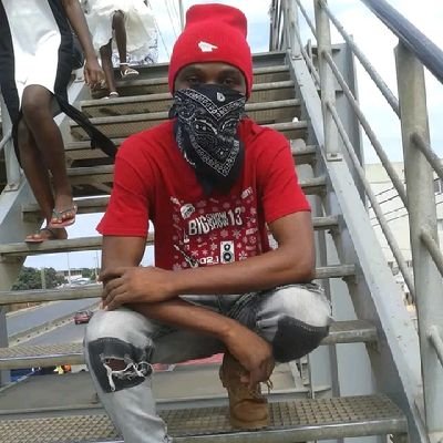 GatoRepper20747's profile picture. 